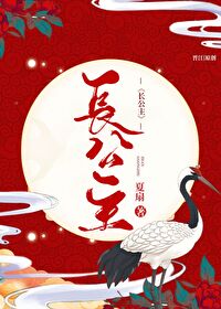 有关长公主小说